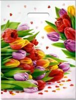 Пакет с вырубной ручкой (31х40)-60 Март 50/500 