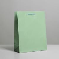 Пакет подарочный бумажный (18х23х8) ламинир Зеленый 1/400 Пакет подарочный бумажный (18х23х8) ламинир Зеленый 1/400