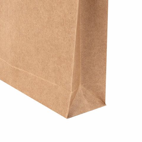 Конверт-пакет В4 объемный (250х353х40мм) до 300 листов, крафт, отрывная полоса, 391157 (вывод) Конверт-пакет В4 объемный (250х353х40мм) до 300 листов, крафт, отрывная полоса, 391157 (вывод)
