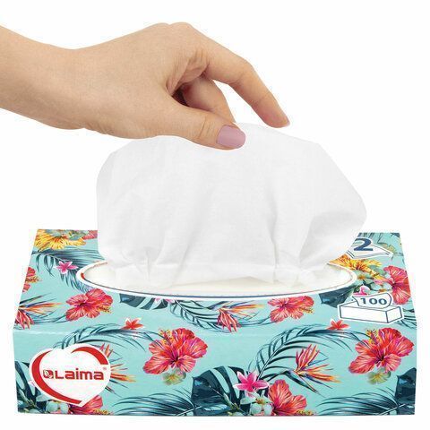 Салфетки косметические 2-сл в короб 20х20см (100шт) в картонном боксе Лайма 1/35 (клиент)