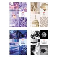 Тетрадь 80л А4 клетка гребень картон HATBER 1/4/28 Тетрадь 80л А4 клетка гребень картон HATBER 1/4/28