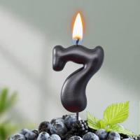 Свеча для торта Мокрый асфальт Цифра 7 1/30 Свеча для торта Мокрый асфальт Цифра 7 1/30