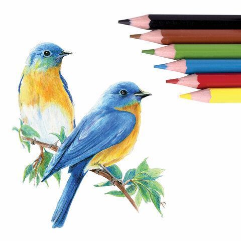 Карандаши цветные 06цв пластиковые, классические, грифель мягкий 3 мм ЮНЛАНДИЯ Домики 1/24 Карандаши цветные 06цв пластиковые, классические, грифель мягкий 3 мм ЮНЛАНДИЯ Домики 1/24