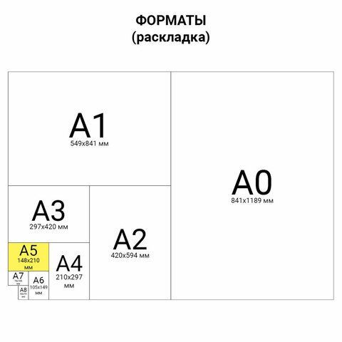 Тетрадь 12л клетка обложка картон ЗЕЛЕНАЯ КЛАССИКА BRAUBERG 1/20