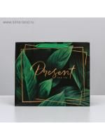 Пакет подарочный бумажный (27х23х11,5) ламинир Present 1/200 Пакет подарочный бумажный (27х23х11,5) ламинир Present 1/200