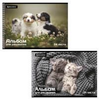 Альбом для рисования 24л А4 гребень обложка картон BRAUBERG Питомцы 1/10/40