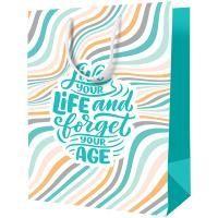 Пакет подарочный бумажный (18х23х10) ламинир Forget age ArtSpace 1/12/144