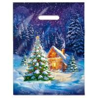 НГ Пакет с вырубной ручкой (31х40)-60 Ночное чудо 50/500 НГ Пакет с вырубной ручкой (31х40)-60 Ночное чудо 50/500