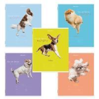 Тетрадь 18л линия обложка картон СОБАЧКИ BRAUBERG 1/20/200 Тетрадь 18л линия обложка картон СОБАЧКИ BRAUBERG 1/20/200