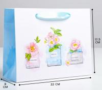 Пакет подарочный бумажный (22х17,5х8) ламинир С пожеланиями 1/12