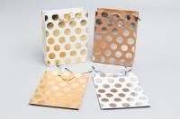 Пакет подарочный бумажный (18х23х8) с тиснением Люкс Кружочки 1/10