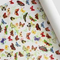 Бумага упаковочная 68,5х100см Летний луг Интерпак 1/50