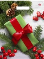 НГ Пакет с вырубной ручкой (31х40)-60 Калина в подарок 50/500 НГ Пакет с вырубной ручкой (31х40)-60 Калина в подарок 50/500