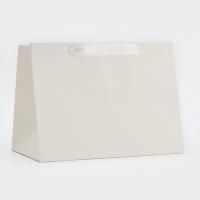 Пакет подарочный бумажный (25х19x18) с широким дном белый 1/10/300 Пакет подарочный бумажный (25х19x18) с широким дном белый 1/10/300