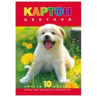 Цветной картон А4 10л 10цв мелованный Белый щенокHatber 1/80 Цветной картон А4 10л 10цв мелованный Белый щенокHatber 1/80