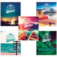 Тетрадь 96л А5  клетка обложка картон Приключения BRAUBERG 1/ 5/50 Тетрадь 96л А5  клетка обложка картон Приключения BRAUBERG 1/ 5/50