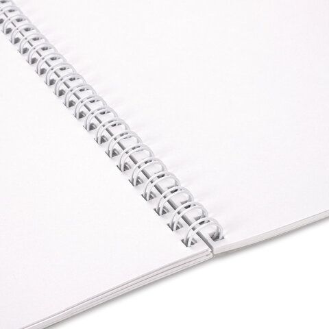 Альбом для рисования А4 32л гребень обложка картон BRAUBERG Ежики 1/6/30