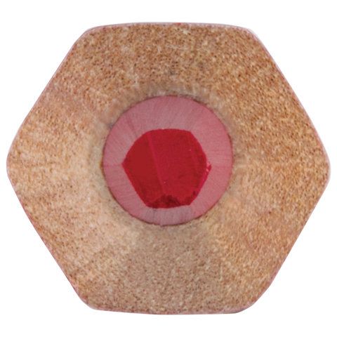 Карандаш двухцветный КРАСНО-СИНИЙ УТОЛЩЕННЫЙ BRAUBERG заточенный, грифель 4,0 мм (вывод) Карандаш двухцветный КРАСНО-СИНИЙ УТОЛЩЕННЫЙ BRAUBERG заточенный, грифель 4,0 мм (вывод)