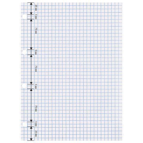 Сменный блок к тетради на кольцах 80л А4 клетка BRAUBERG ЭКО 1/30 Сменный блок к тетради на кольцах 80л А4 клетка BRAUBERG ЭКО 1/30