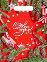 НГ Пакет с вырубной ручкой (23х30)-30 Цвет Нового года 100/3000 НГ Пакет с вырубной ручкой (23х30)-30 Цвет Нового года 100/3000