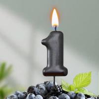 Свеча для торта Мокрый асфальт Цифра 1 1/30 Свеча для торта Мокрый асфальт Цифра 1 1/30