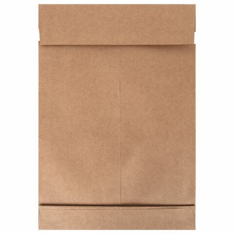 Конверт-пакет В4 объемный (250х353х40мм) до 300 листов, крафт, отрывная полоса, 391157 (вывод) Конверт-пакет В4 объемный (250х353х40мм) до 300 листов, крафт, отрывная полоса, 391157 (вывод)