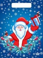 НГ Пакет с вырубной ручкой (20х30)-30 Подарок Деда Мороза ТИКО 100/3000 НГ Пакет с вырубной ручкой (20х30)-30 Подарок Деда Мороза ТИКО 100/3000