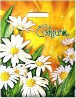 Пакет с вырубной ручкой (31х40)-60 Очарование 50/500 